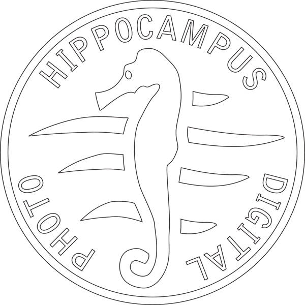海馬logo图片