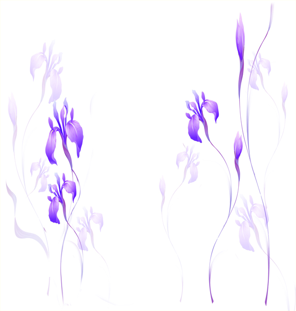 紫花背景图片