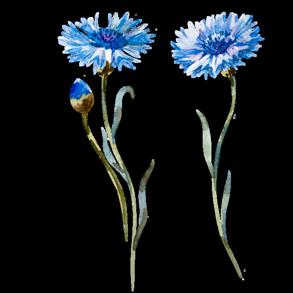 蓝色绽放花卉卡通透明素材