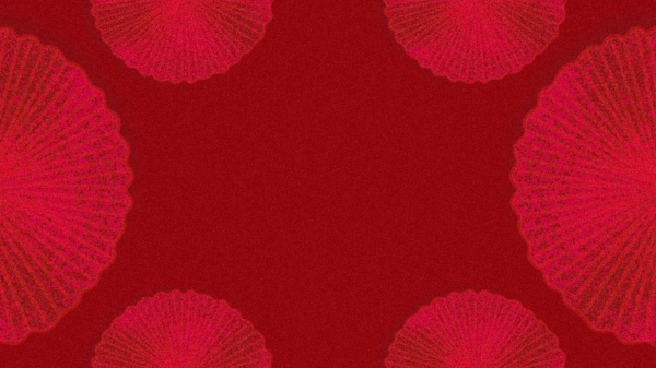 纸伞中国红背景