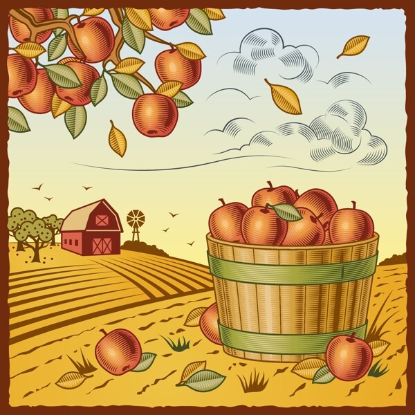老式的苹果丰收农场向量的场景