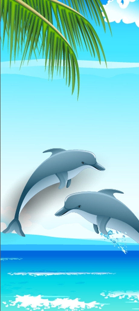 夏季广告海豚大海