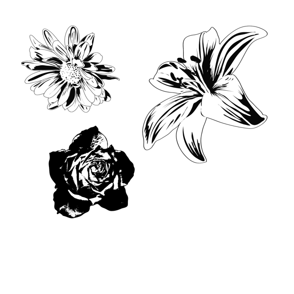 黑白花朵图案矢量素材