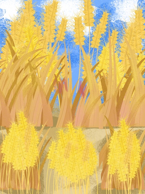金秋小麦植物背景
