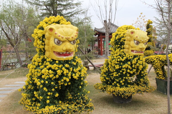 菊花造型图片