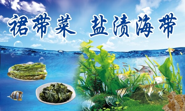 裙带菜盐渍海带