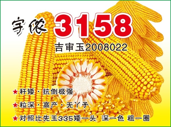 玉米农资海报玉米未分层