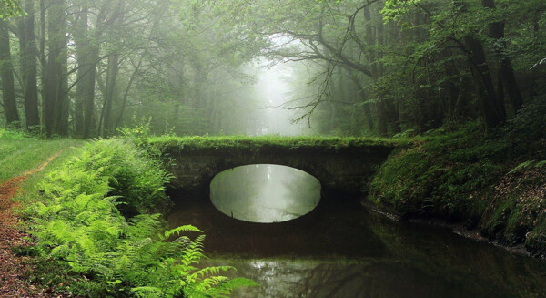晨雾森林石桥