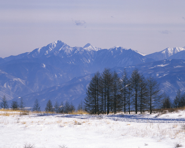 冬天雪景雪景大雪