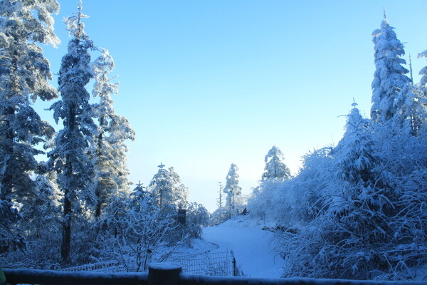 峨眉山雪景