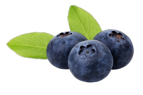 高清免扣素材蓝莓