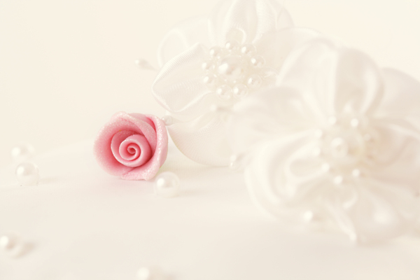 珍珠与玫瑰花背景图片素材