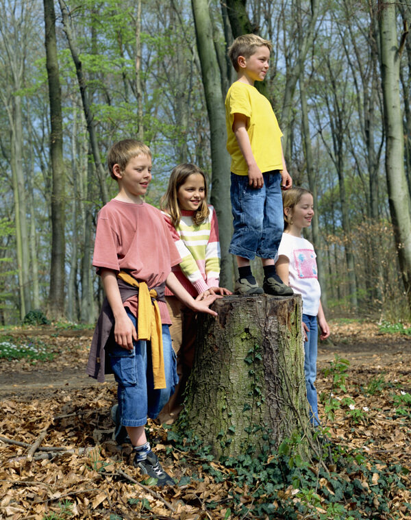 树林里的儿童图片