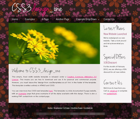 HTML5和CSS3免费网页模版
