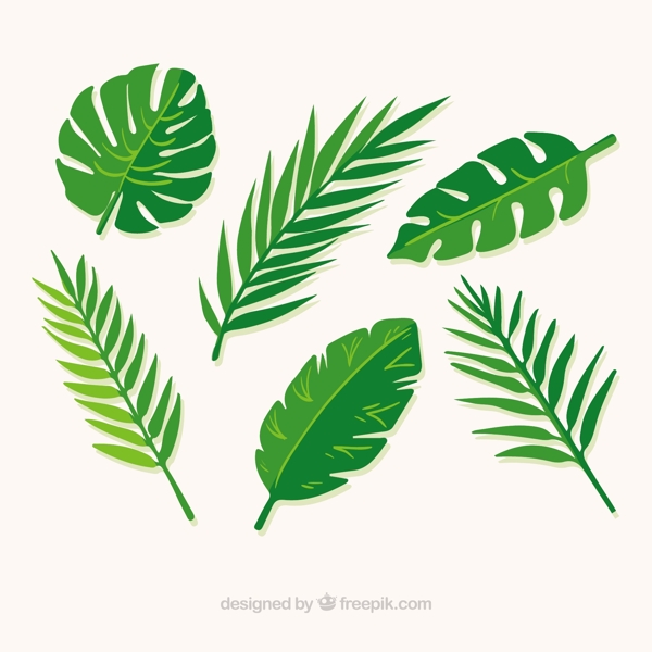手绘几片棕榈树绿叶矢量设计师素材