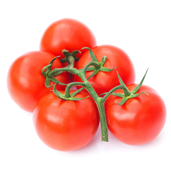 新鲜番茄摄影