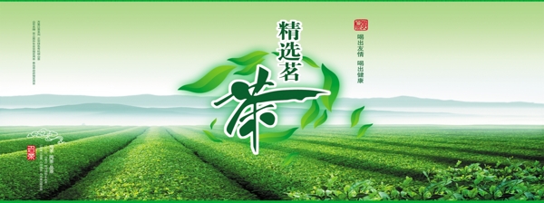 茶海报