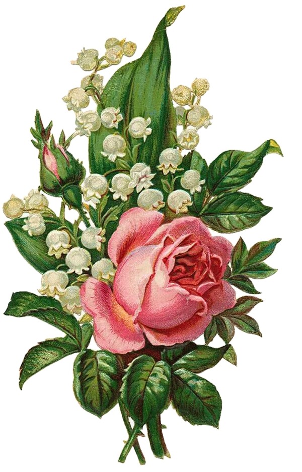 欧式复古英伦风花朵手绘玫瑰花