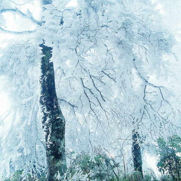 冬天雪景