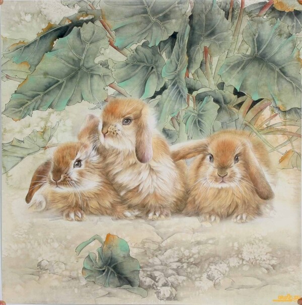 国画宠物兔垂耳兔兔子图片