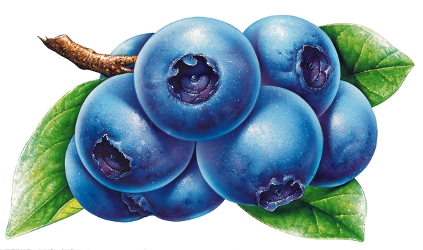 PSD水果蓝莓抠图格式