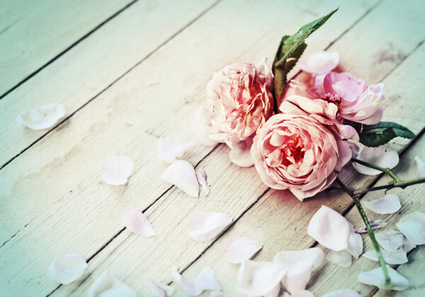 木板上的玫瑰花朵图片