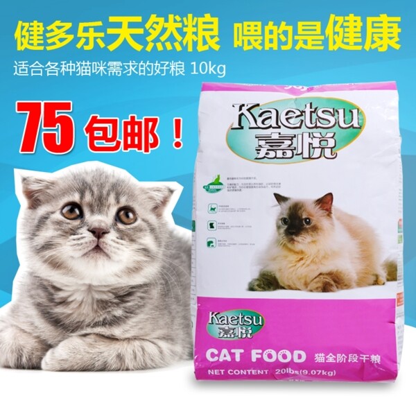 宠物猫咪主图设计