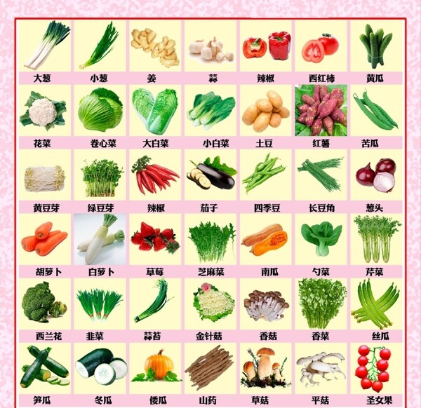 蔬菜素材图片