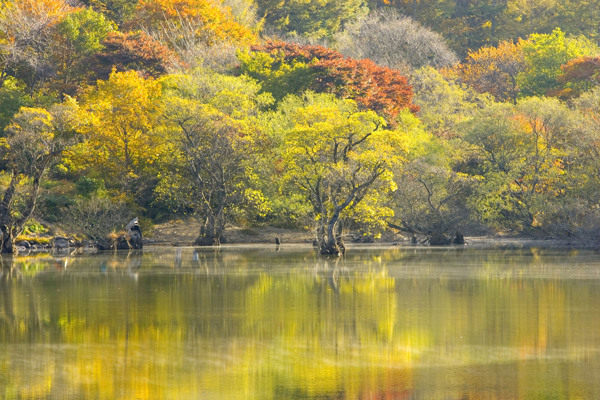 自然风景风景自然田园山水