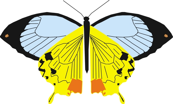 印花矢量图动物昆虫蝴蝶抽象动物免费素材