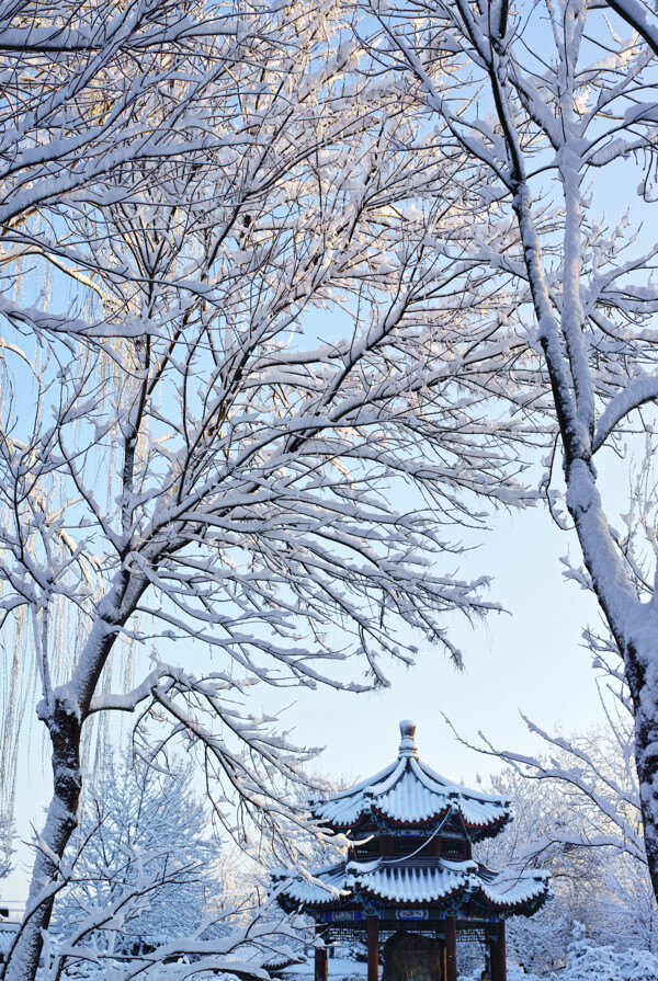 雪图片