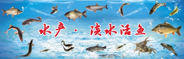 水产淡水活鱼墙板图片