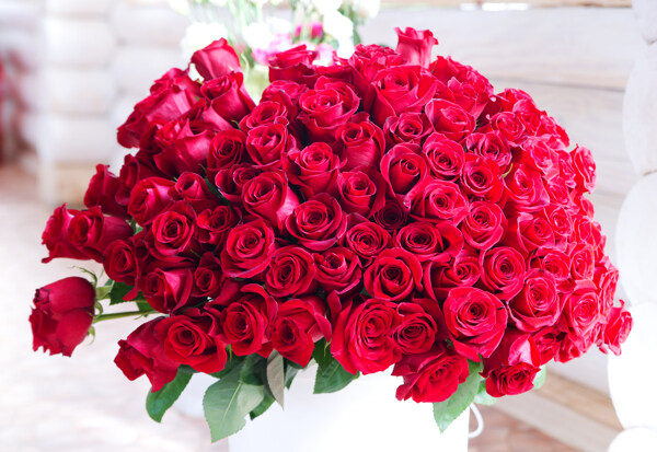 最美玫瑰花束图片