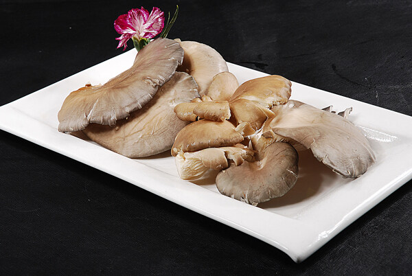 豫菜鲜蘑菇图片