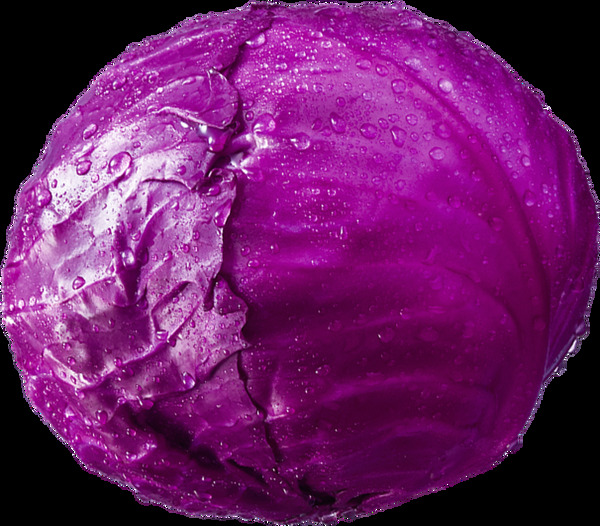 一棵新鲜的紫椰菜