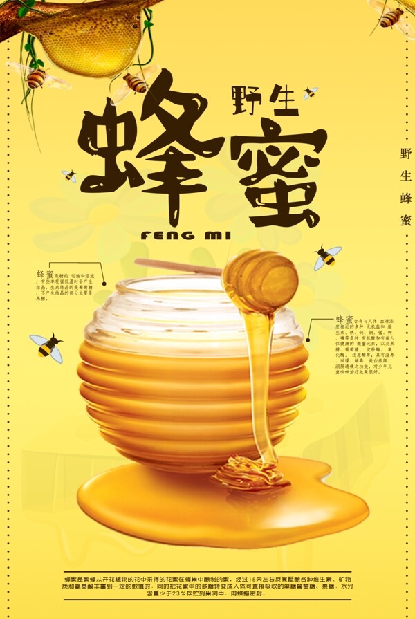 野生蜂蜜海报