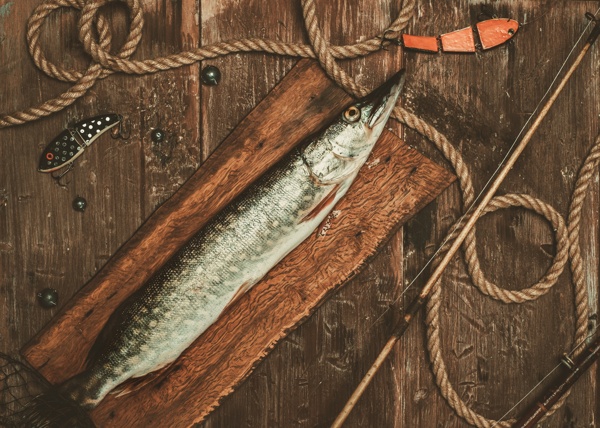 木板上的鱼与鱼竿图片