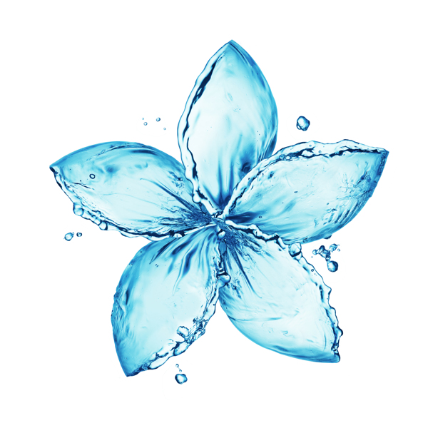 液态水组成的花瓣图案创图片