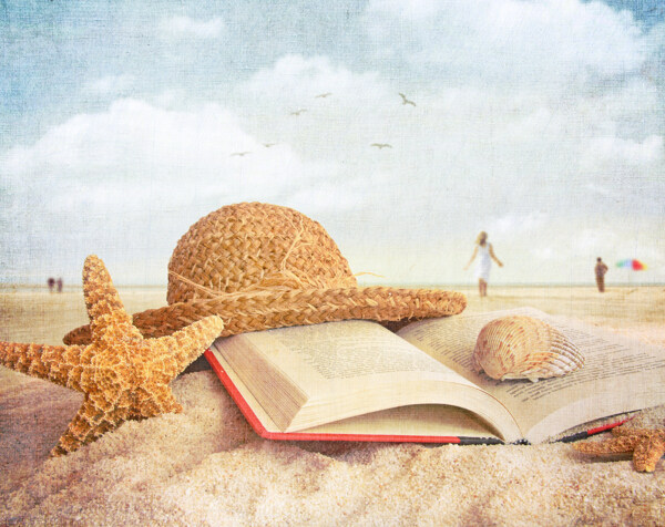 沙滩上的海星与书本图片
