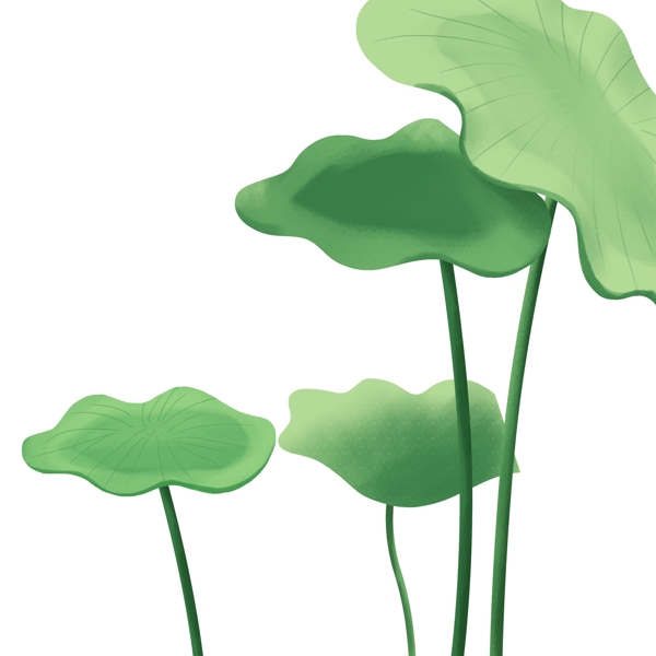 绿色植物荷叶图案设计