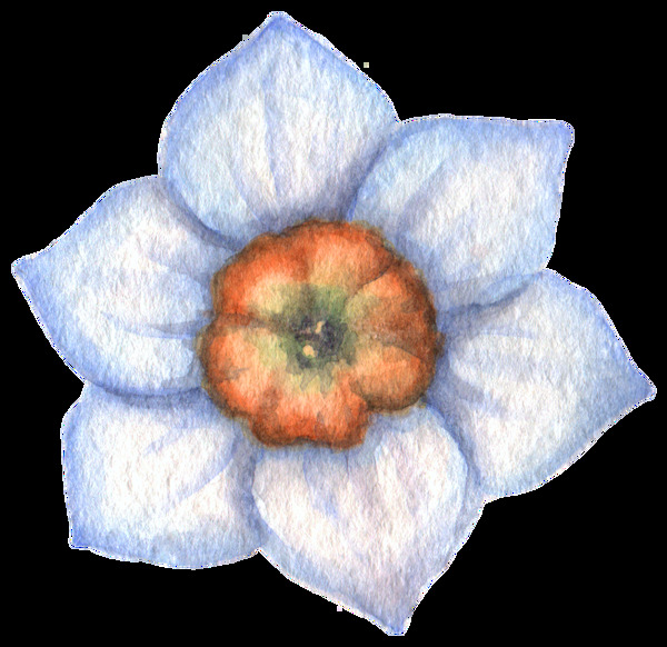 淡蓝色花卉卡通水彩透明素材