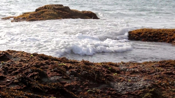 海滩石头素材视频