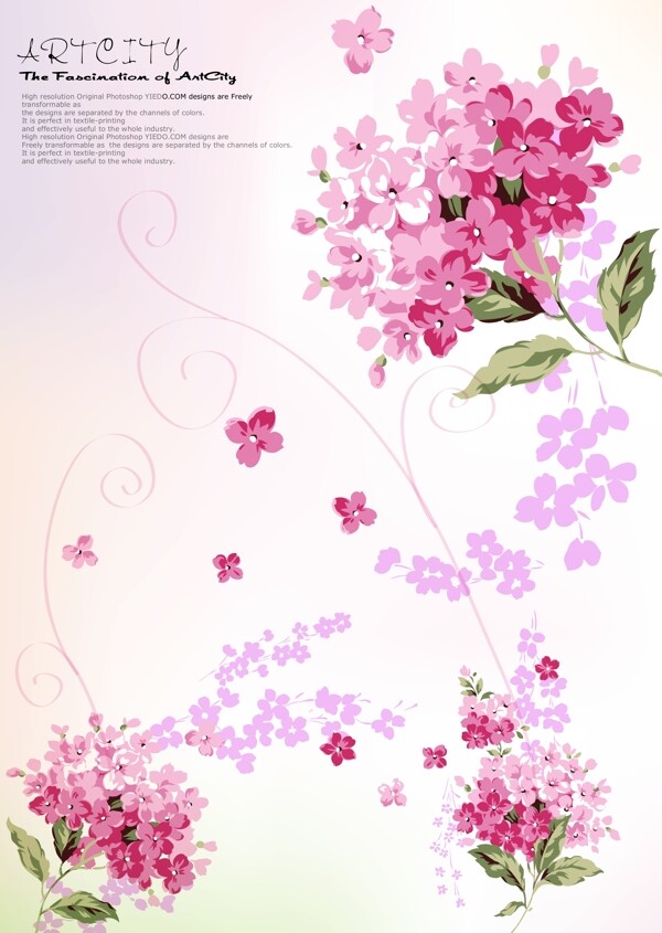 花卉低纹图片
