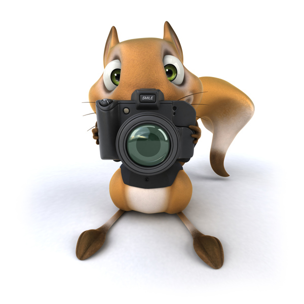 拿着相机照相的松鼠