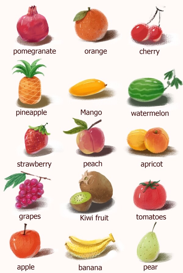 水果英语教育配图