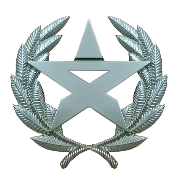 军队文职徽