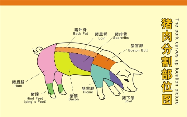 猪肉分割图