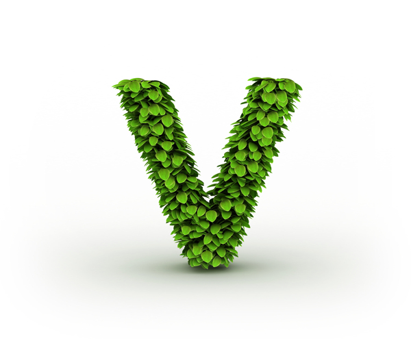 绿叶组成的字母V图片