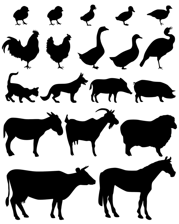 动物剪影插画设计矢量素材