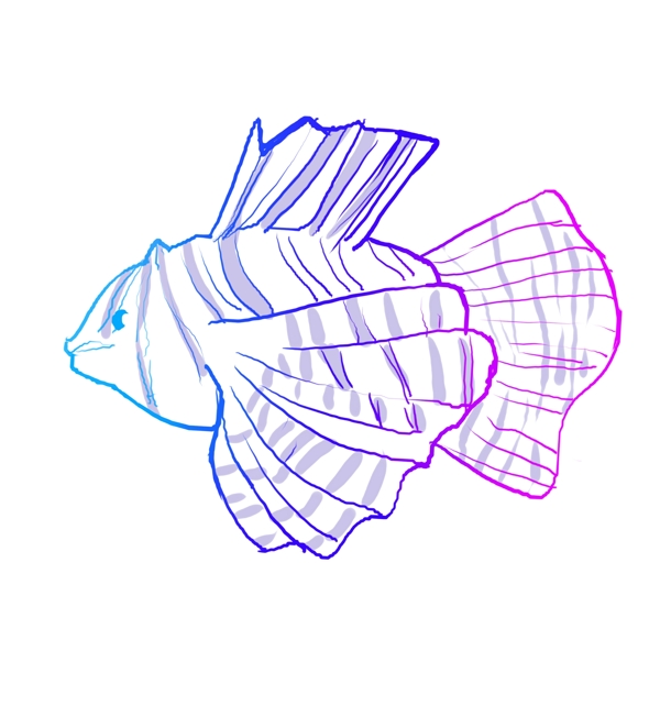 蓝色线描小鱼